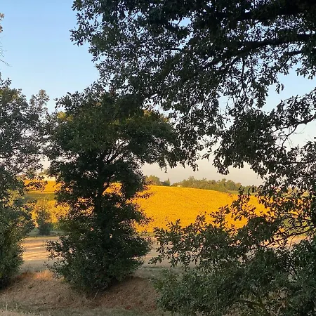 Confortable In Gers 32390 Apartament *