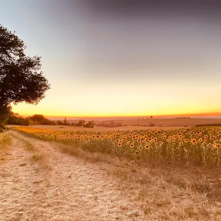 Confortable In Gers 32390 Apartament