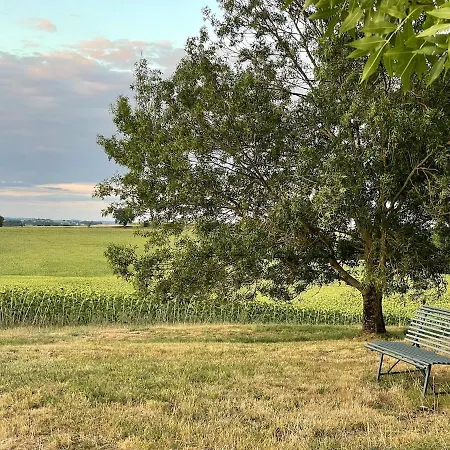 Confortable In Gers 32390