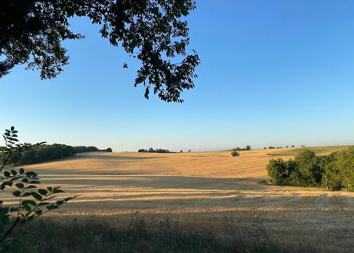 Confortable In Gers 32390