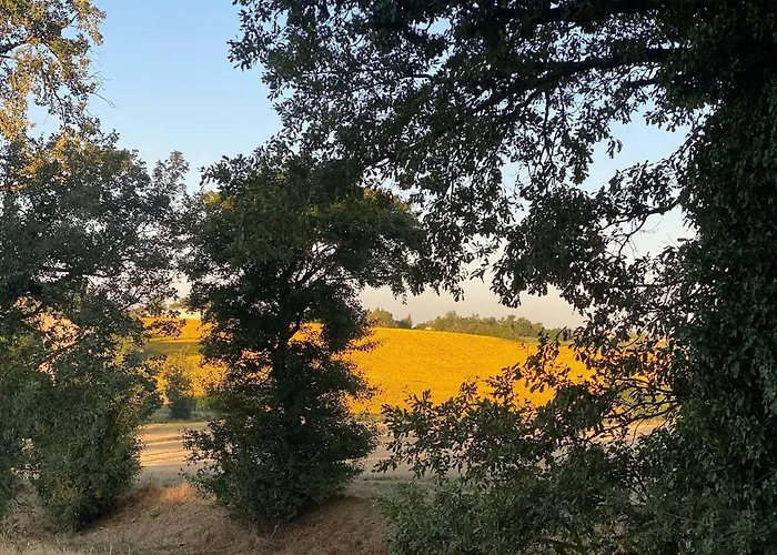 Confortable In Gers 32390 Apartament *