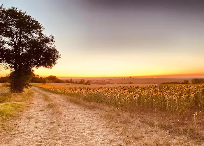 Confortable In Gers 32390 Apartament