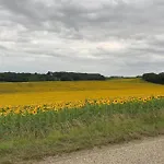 Appartement Confortable In Gers 32390 *