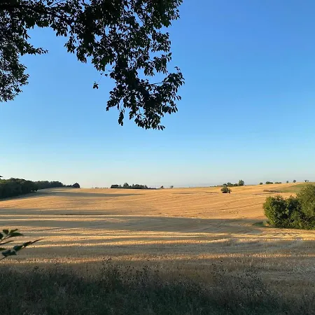 Confortable In Gers 32390