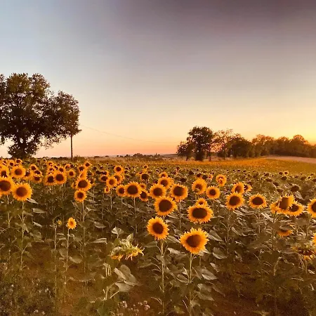 Confortable In Gers 32390 Tourrenquets