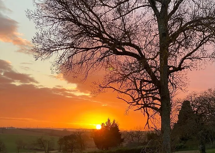 Confortable In Gers 32390 * Tourrenquets