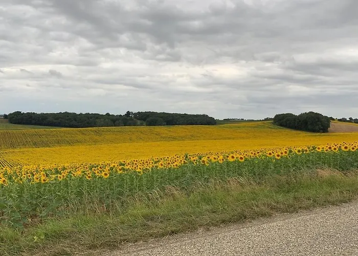 Appartement Confortable In Gers 32390 *