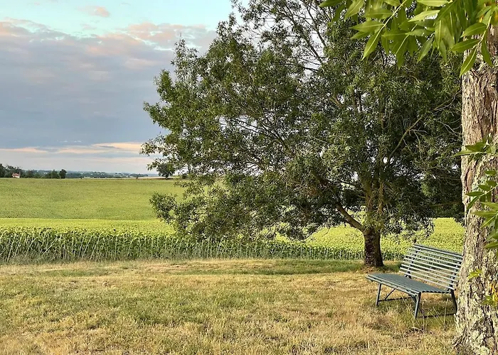 Confortable In Gers 32390