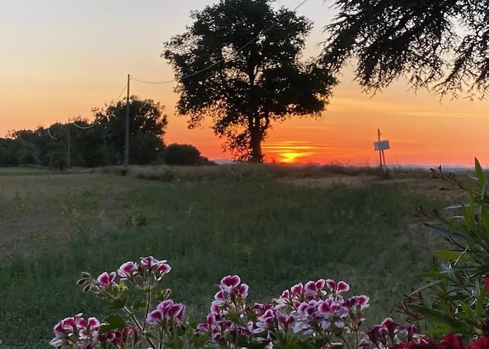 Confortable In Gers 32390 Appartement *