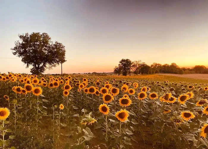 Confortable In Gers 32390 Tourrenquets